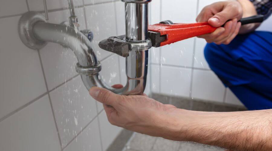 Professional Leak Detection services in Dingle, ID